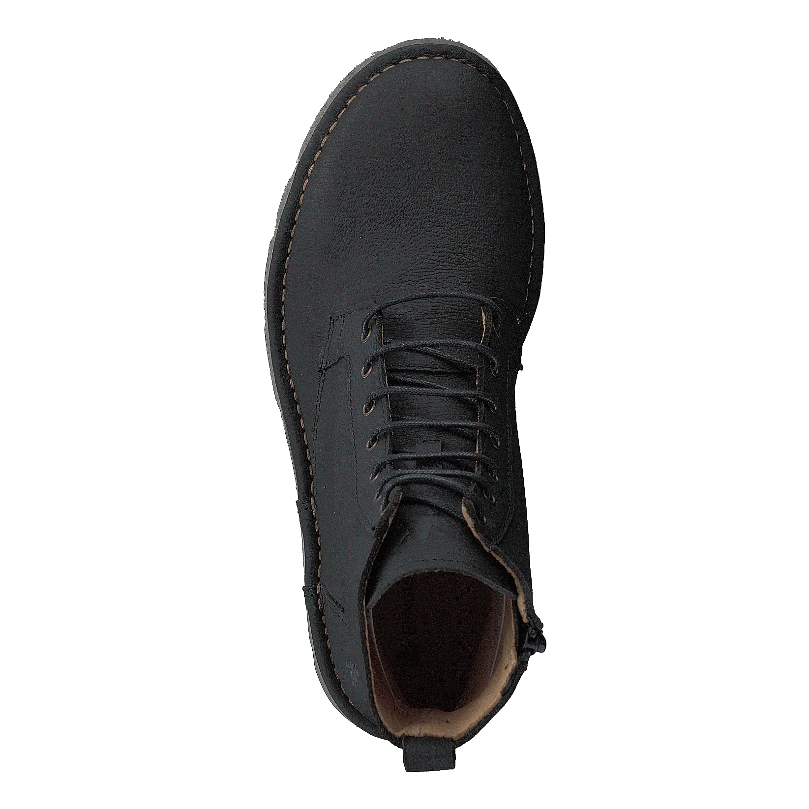 Forest Black